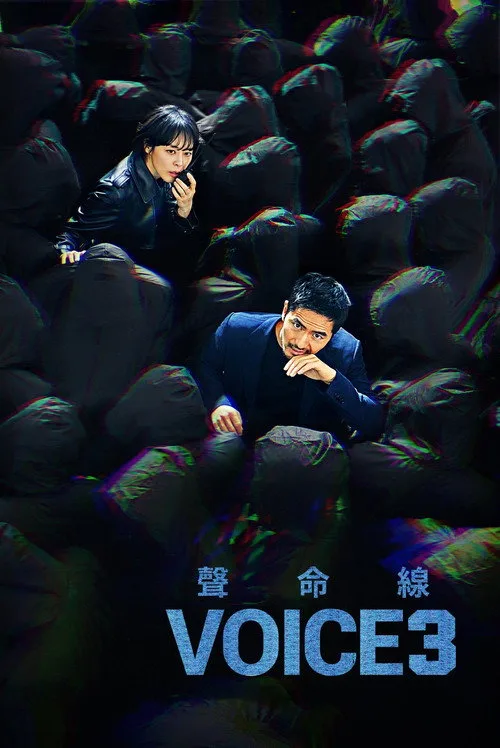 Voice 3